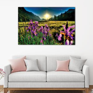 tableau levé de soleil sur le champ d'orchidées 5 pièces
