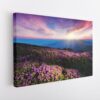pink flowers field stretched canvas