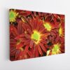 fall flowers stretched canvas