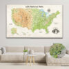 National parks push pin usa map