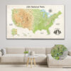USA National Parks Push Pin Map