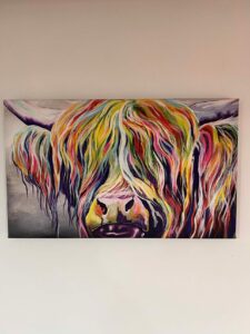 colorful highland cow review