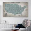 Baseball push pin usa map