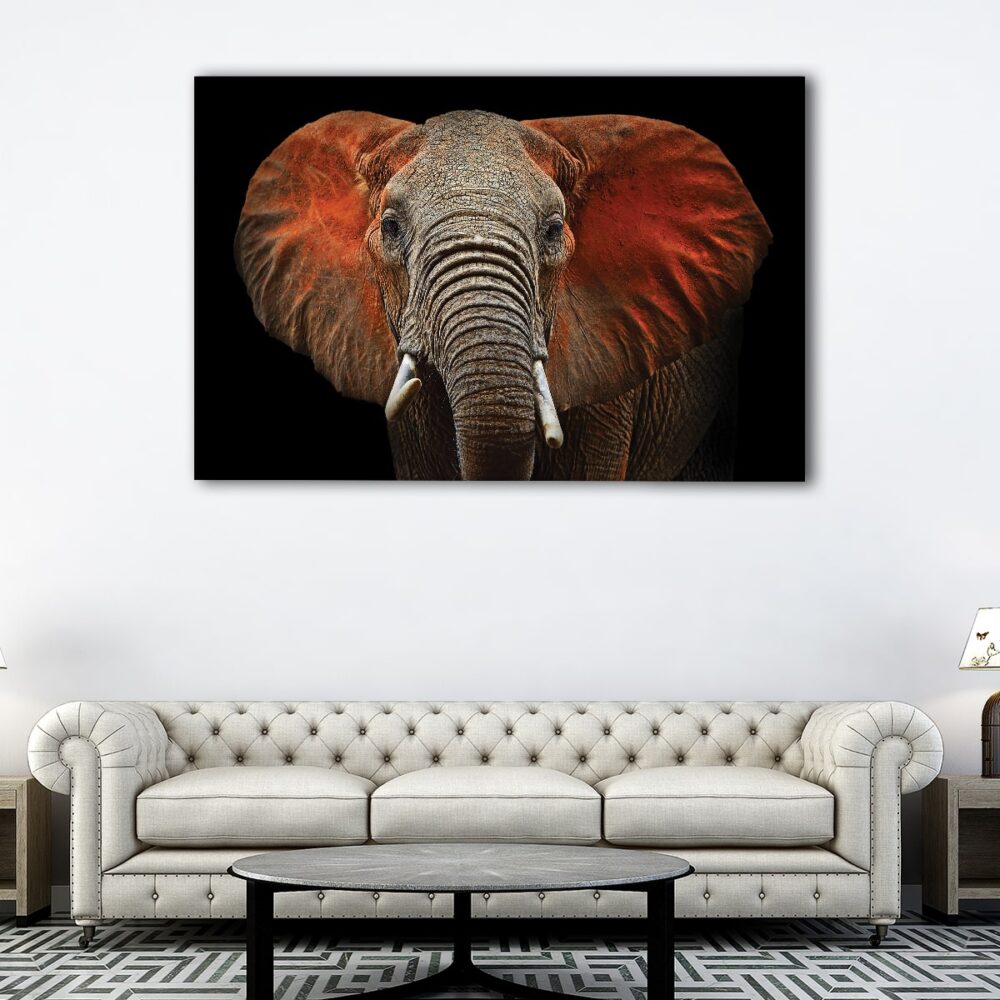 1 panels african elephant canvas art