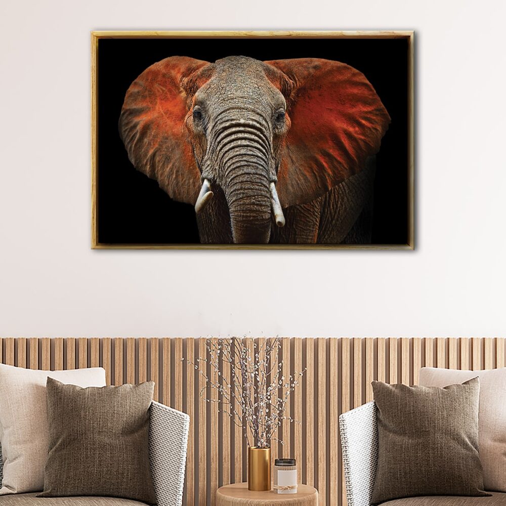 african elephant floating frame canvas