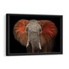 african elephant framed canvas black frame