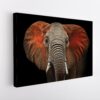 african elephant stretched canvas