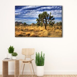 3 panels joshua tree canvas art