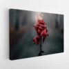 burning rose stretched canvas