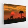savannah sunset stretched canvas