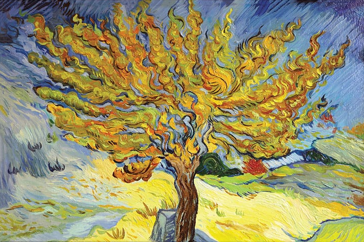 Mulberry-Tree