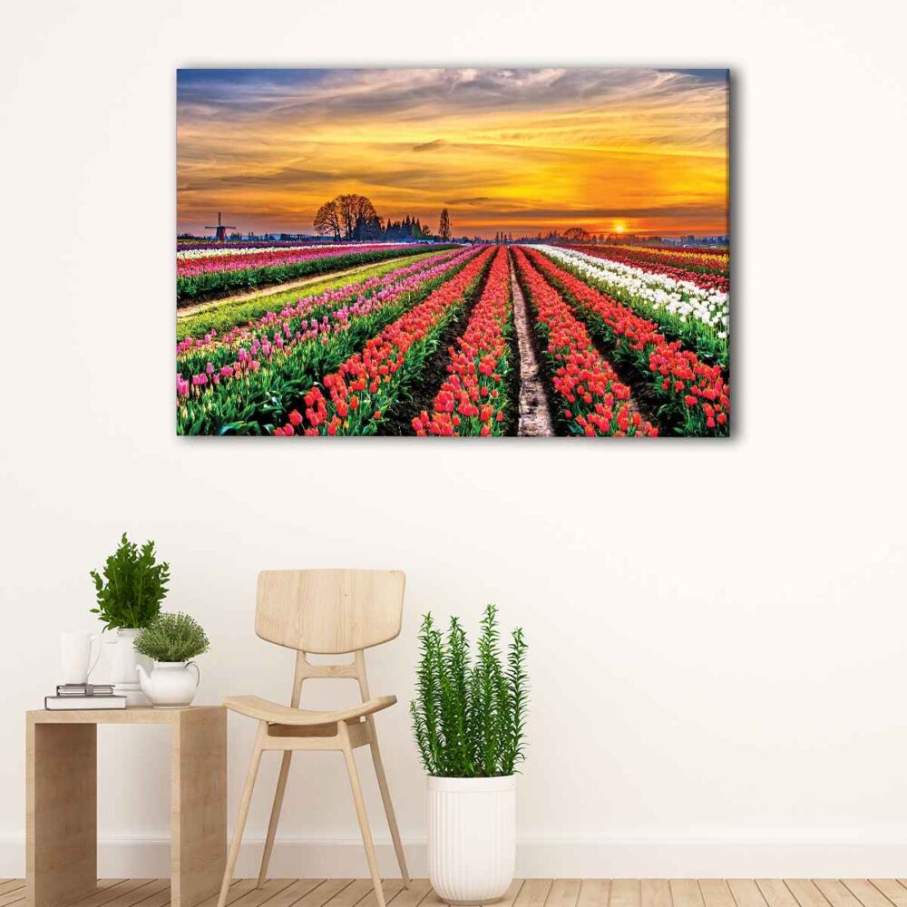 1 panel tulip field canvas art
