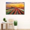 1 panel tulip field canvas art