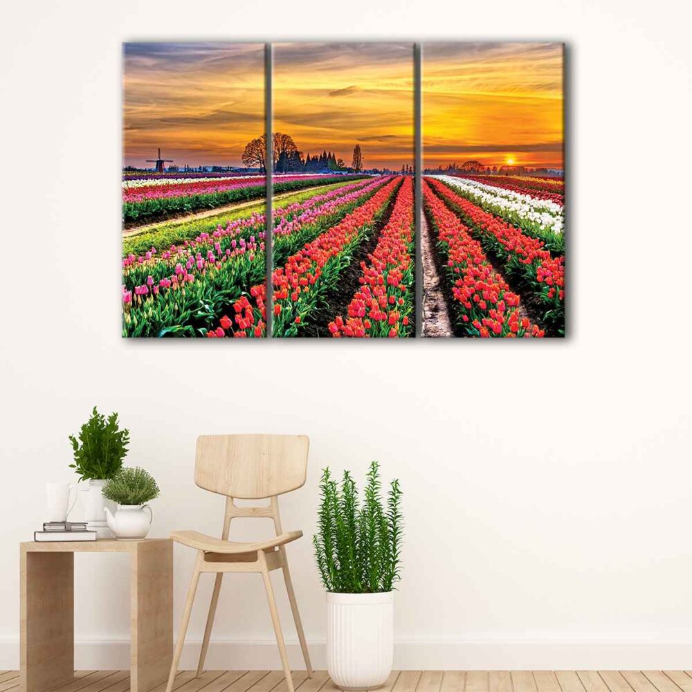 3 panels tulip field canvas art