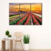 3 panels tulip field canvas art