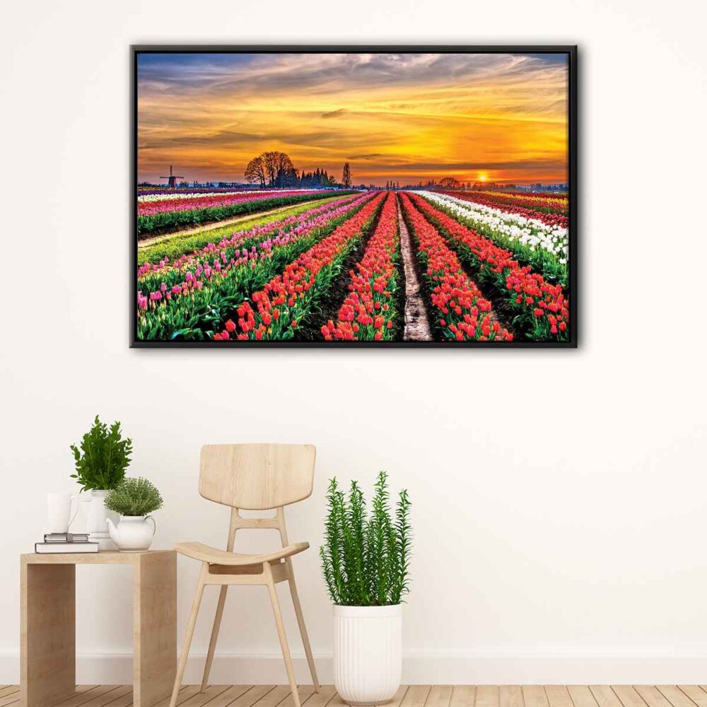 tulip field floating frame canvas