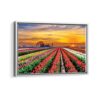 tulip field framed canvas white frame