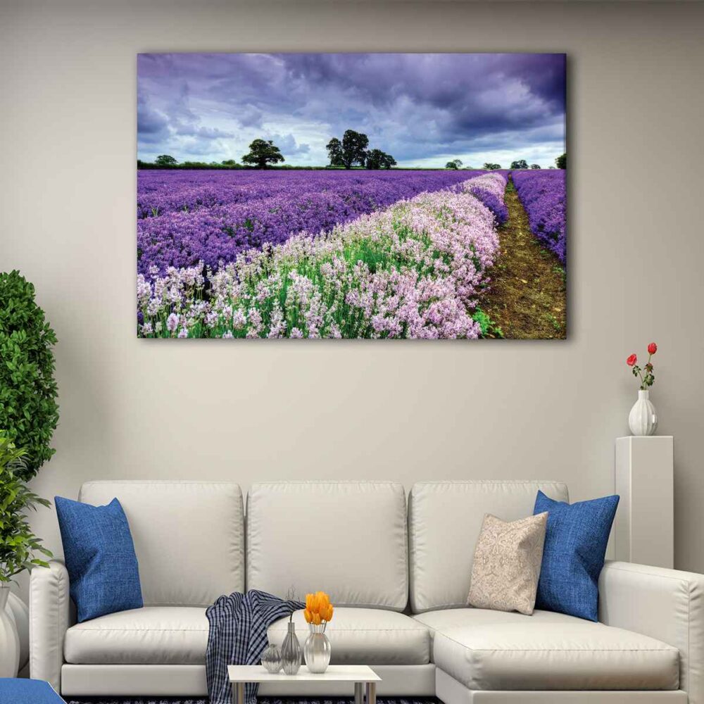 1 panel lavender fields canvas art