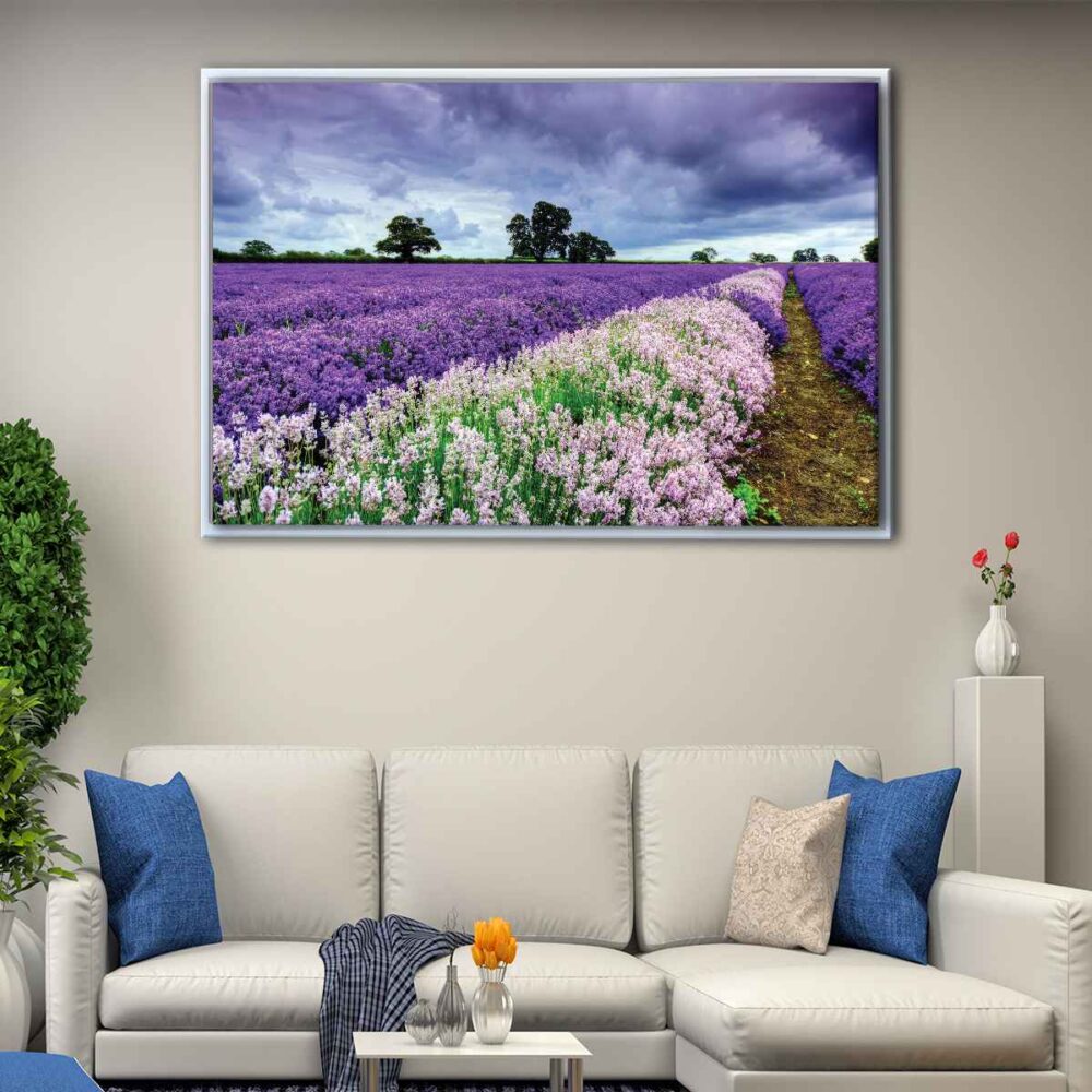 lavender fields floating frame canvas