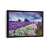 lavender fields framed canvas black frame