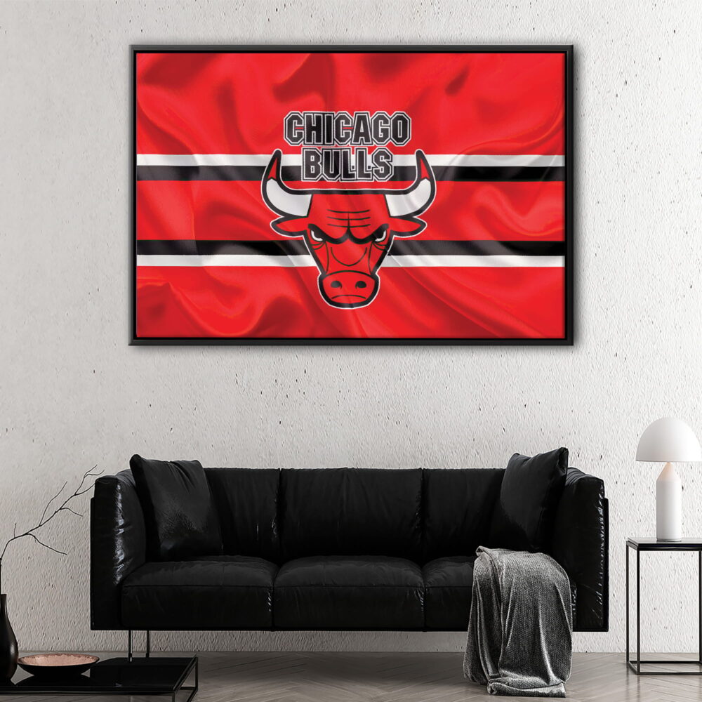 chicago bulls floating frame canvas