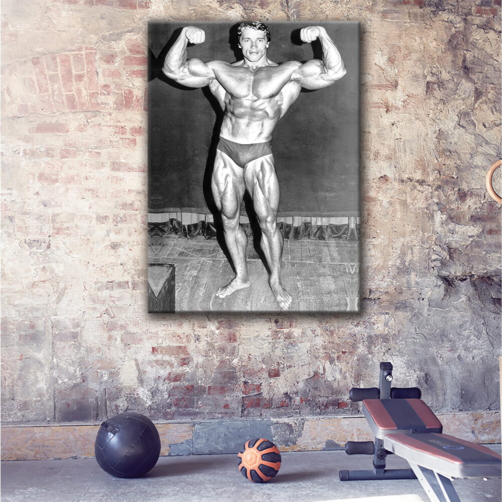 1 panel arnold schwarzenegger workout canvas art