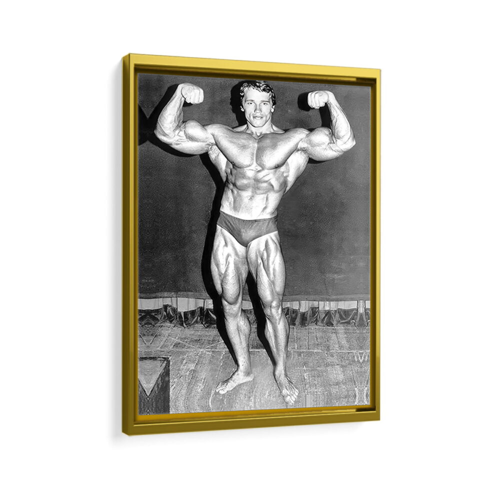 arnold schwarzenegger workout framed canvas gold frame
