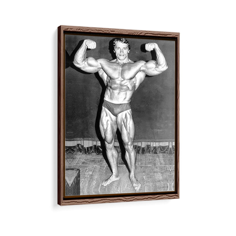 arnold schwarzenegger workout framed canvas walnut brown