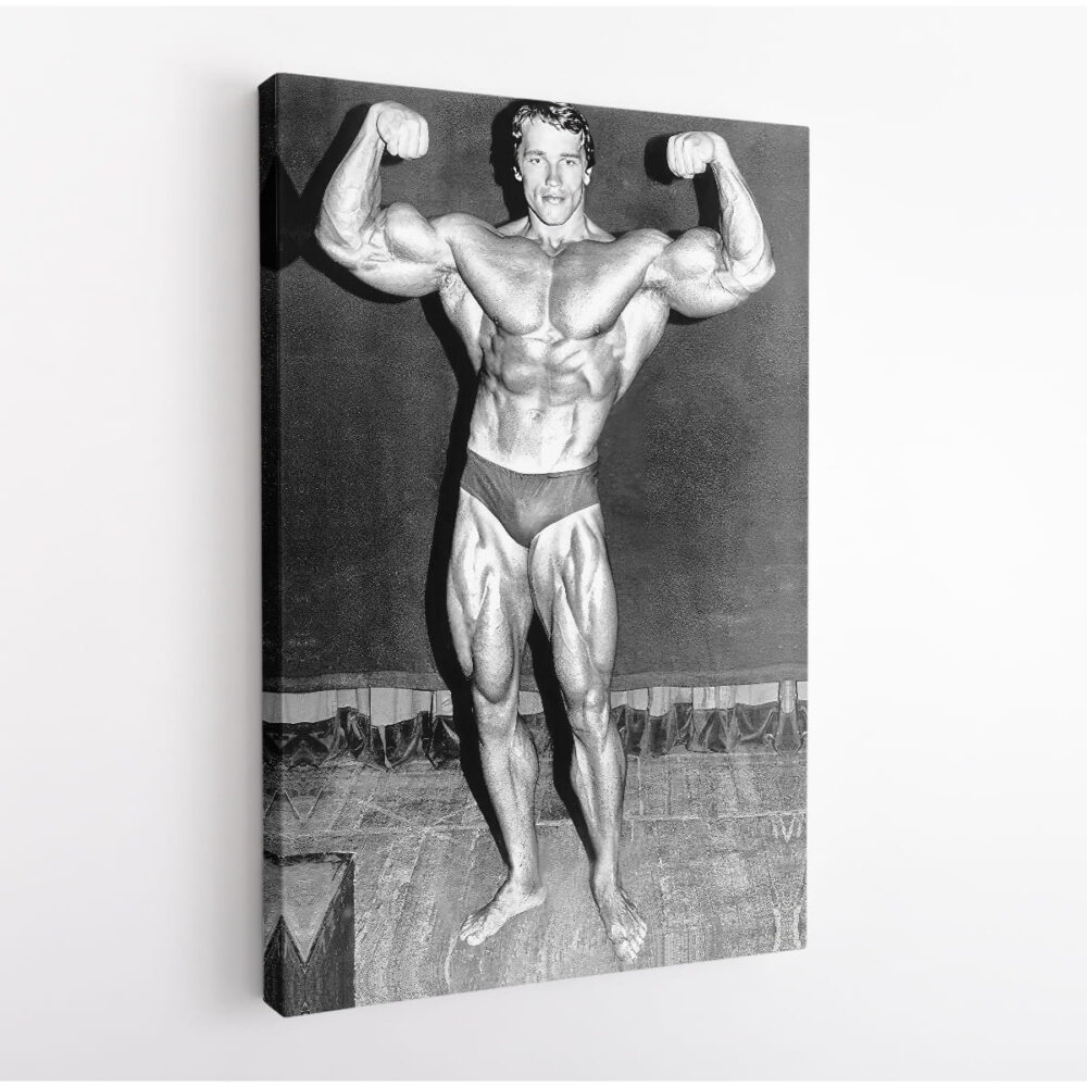arnold schwarzenegger workout stretched canvas