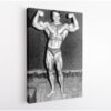 arnold schwarzenegger workout stretched canvas
