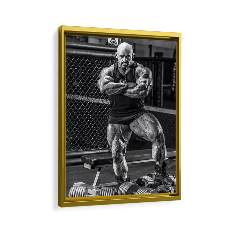 branch warren framed canvas gold frame