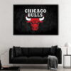 chicago bulls logo floating frame canvas