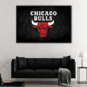 chicago bulls logo floating frame canvas